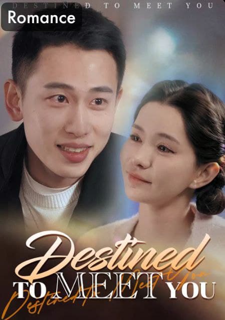 Destined to Meet You