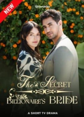 The Secret Billionaire's Bride