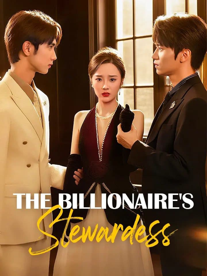 The Billionaire Stewardess