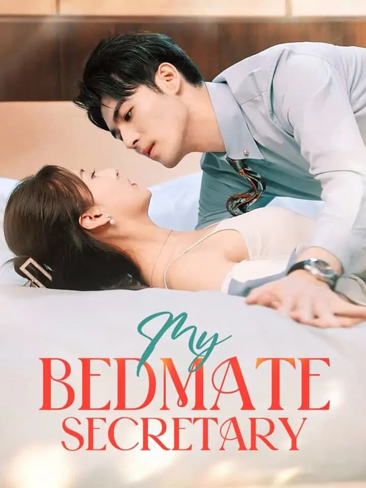 My Bedmate Secretary