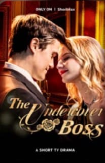 The Undercover Boss