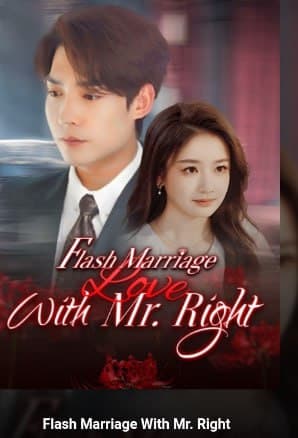 Flash Marriage With Mr. Right