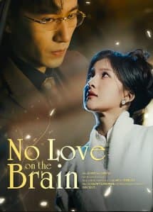 No Love on The Brain