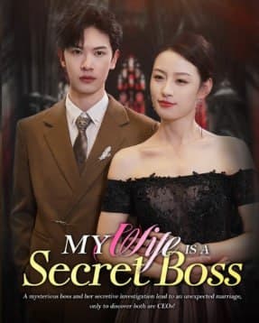 My Wife is A Secret Boss