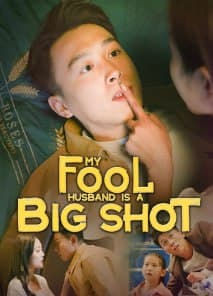 My Fool Husband is a Big Shot
