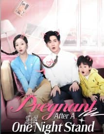 Pregnant after a One Night Stand