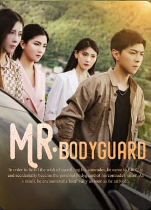Mr. Bodyguard