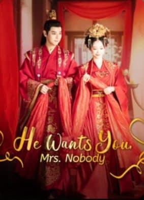 He Wants You, Mrs. Nobody
