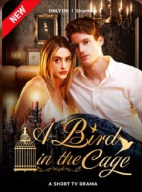 A Bird in the Cage