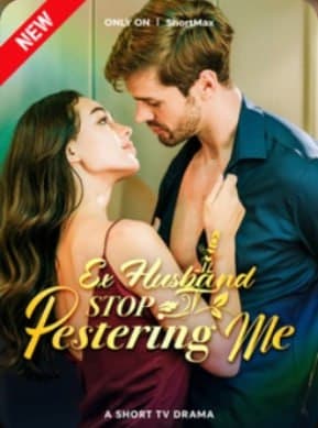 Ex-Husband Stop Pestering Me
