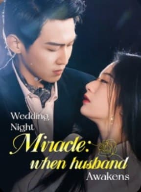 Wedding Night: Miracle When Husband Awakens