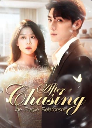 Chasing After the Fragile Relationship