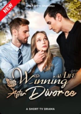 Winning at Life After Divorce