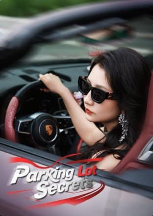 Parking Lot Secrets