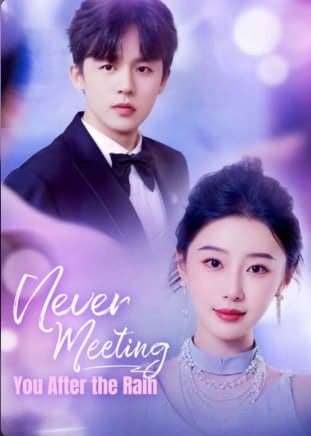Never Meeting You After the Rain