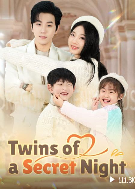 Twins of a Secret Night