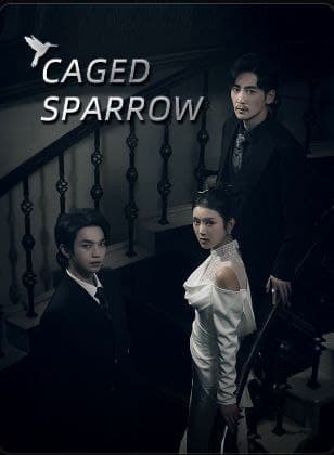 Caged Sparrow
