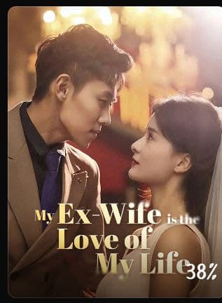My Ex-Wife is the Love of My Life