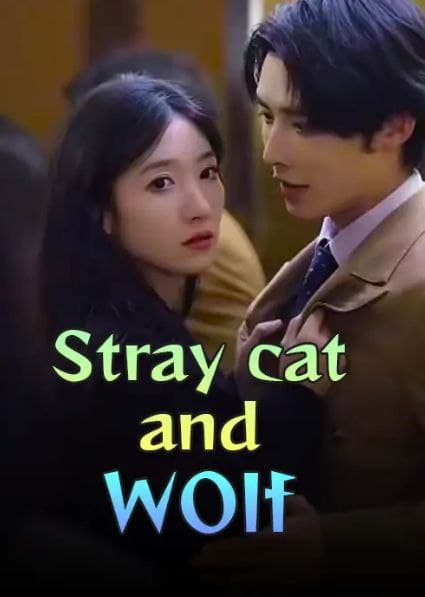 Stray Cat and Wolf