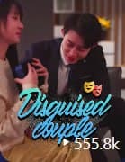Disguised Couple