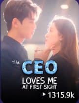 The CEO Loves Me at First Sight