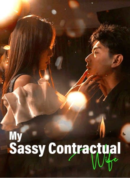 My Sassy Contractual Wife