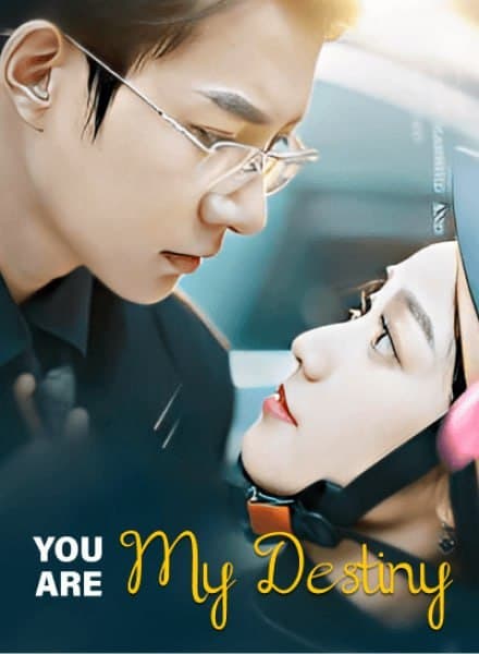 You are My Destiny