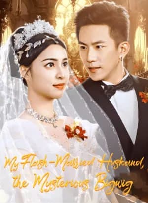 My Flash-Married Husband, The Mysterious Bigwig