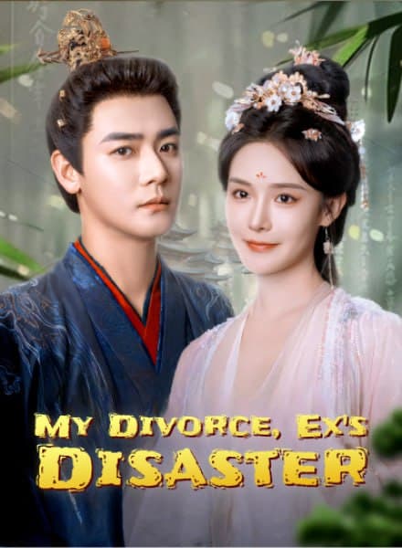 My Divorce, Ex's Disaster