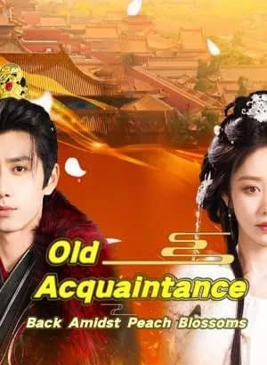 Old Acquaintance Back: Amidst Peach Blossom