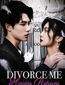 Divorce Me, Heiress Returns