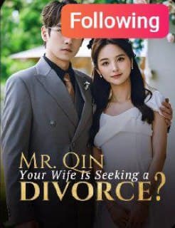 Mr. Quin Your Wife is Seeking a Divorce?
