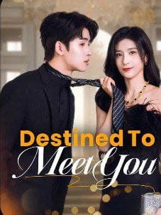 Destined to Meet You