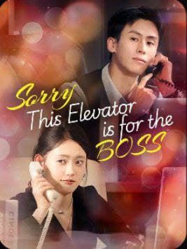 Sorry, This Elevator is for the Boss