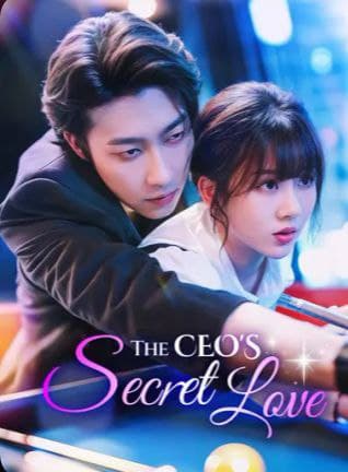 The CEO's Secret Love