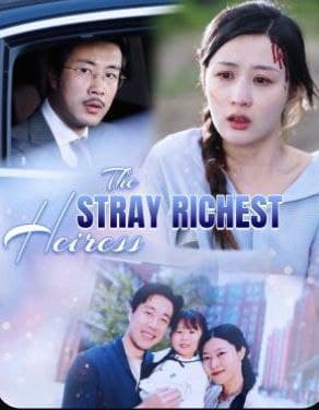 The Stray Richest Heiress