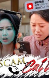 Scam Call