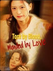 Torn By Blood Mended By Love