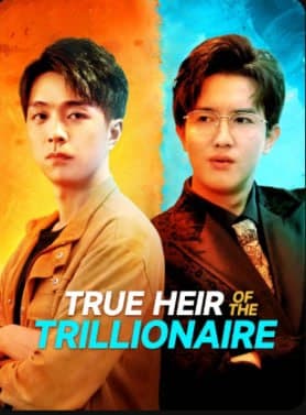 True Heir of the Trillionaire