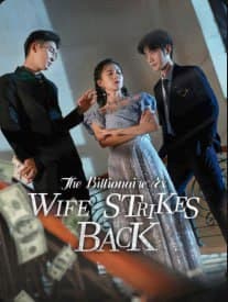 The Billionaire Ex-wife Strikes Back