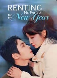 Renting Mr. Perfect for My New Year