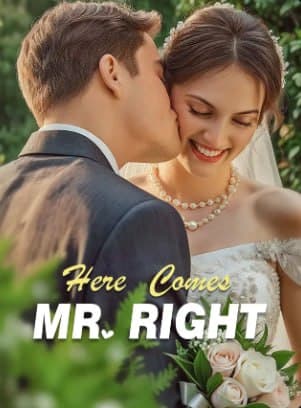 Here Comes Mr. Right