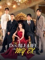 The Double Life of My Ex