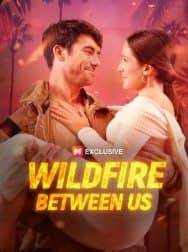 Wildfire Between Us