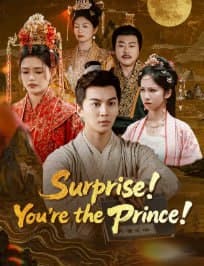 Surprise! You're the Prince!