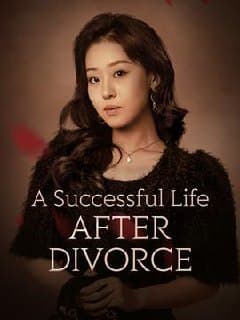 A Successful Life After Divorce