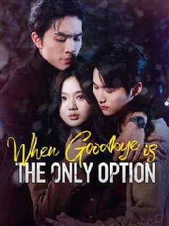 When Goodbye is The Only Option