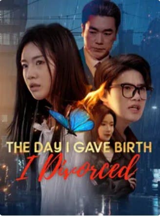 The Day I Gave Birth, I Divorced
