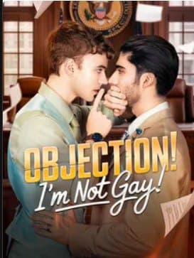 Objection I'm Not A Gay