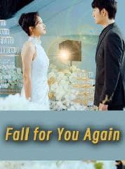 Fall for You Again